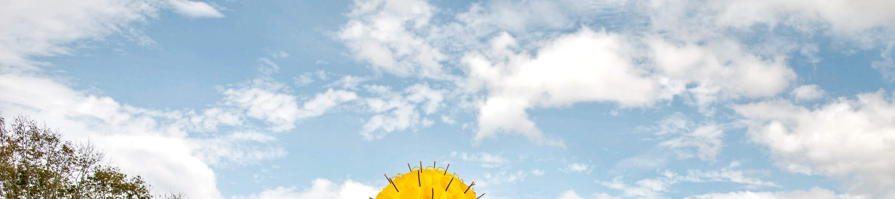 Admirez les vues panoramiques sur la campagne tout en dégustant des vins exceptionnels