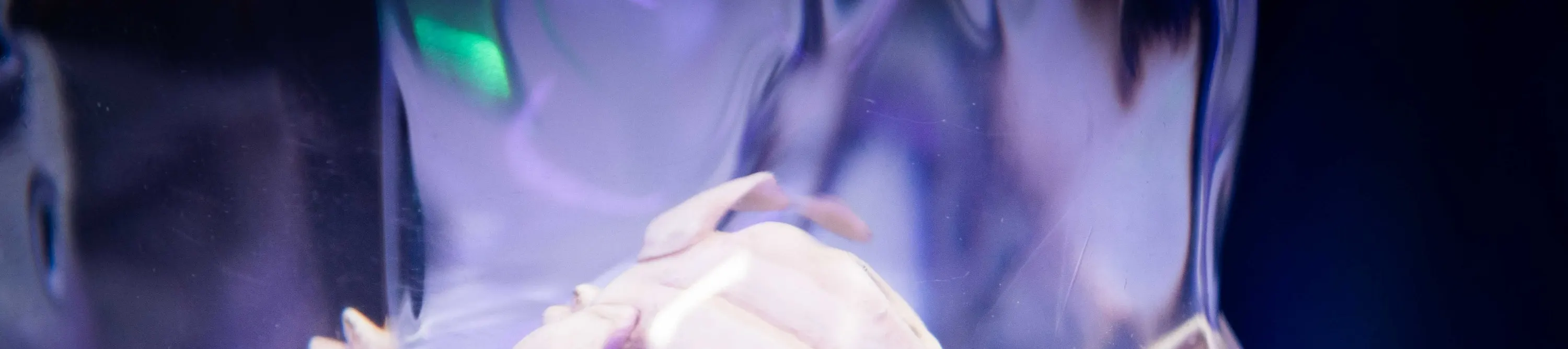 欣赏 IceBar 令人惊叹的冰雕艺术和充满活力的灯光