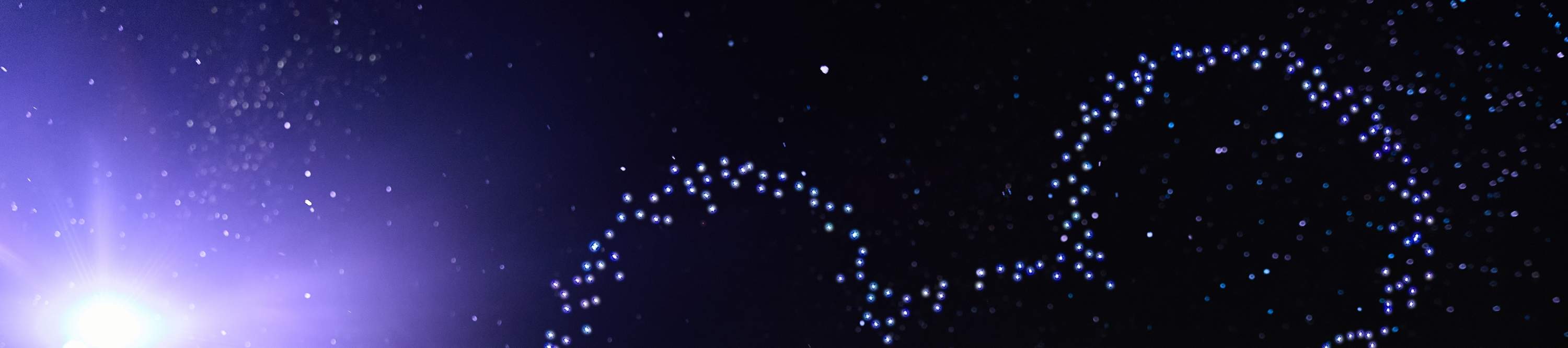 2025迪士尼聖誕節