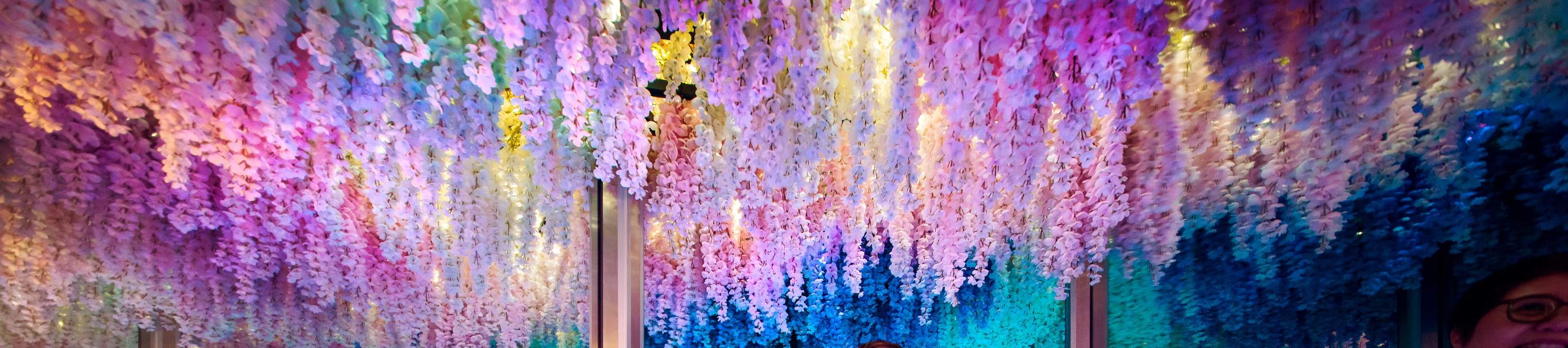 新加坡星耀樟宜景点门票