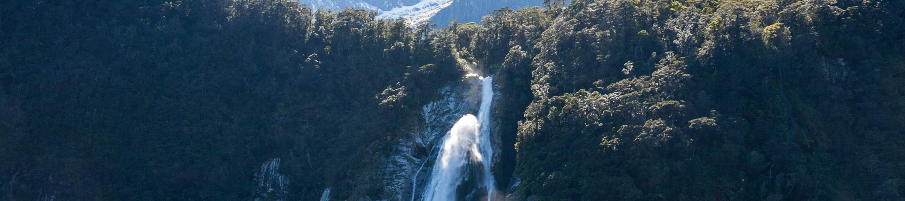 米爾福德峽灣遊船