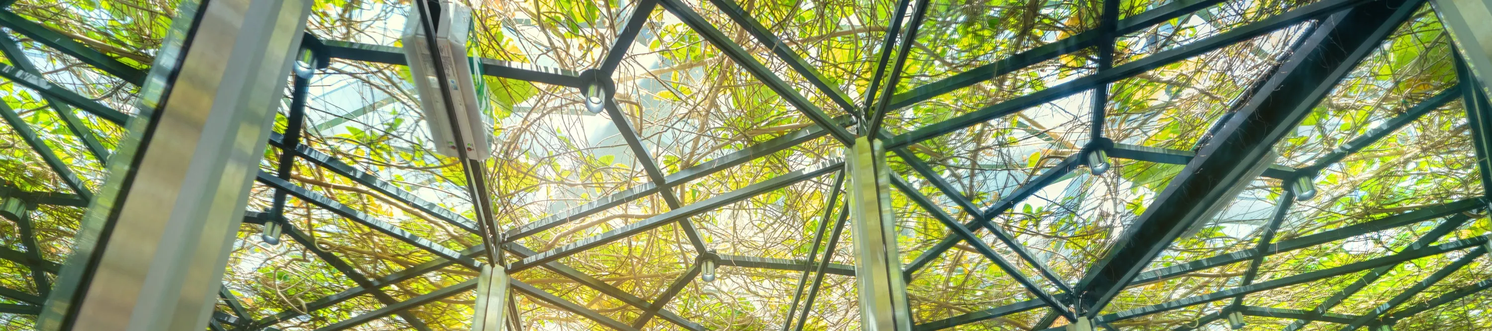 星耀樟宜的镜子迷宫
