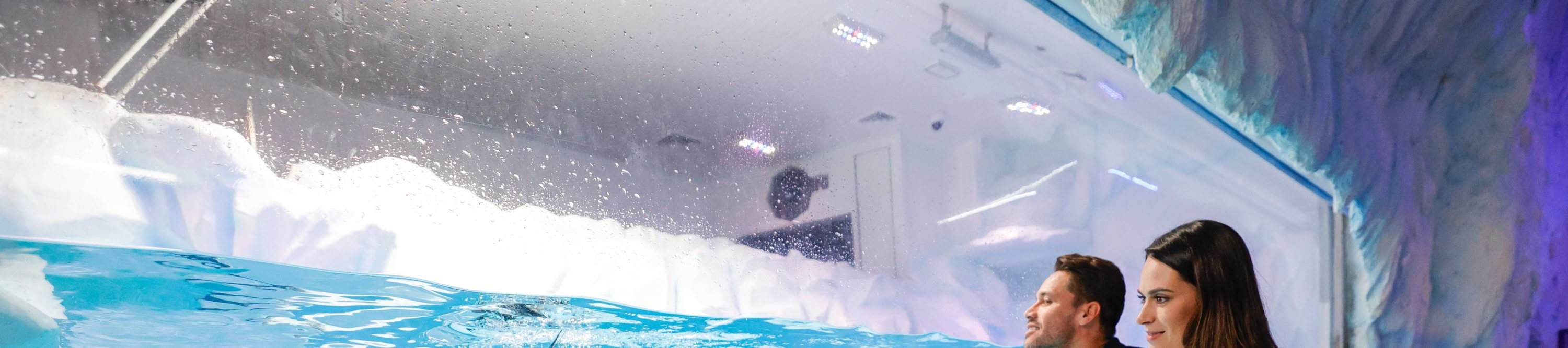 Dubai Aquarium Ticket