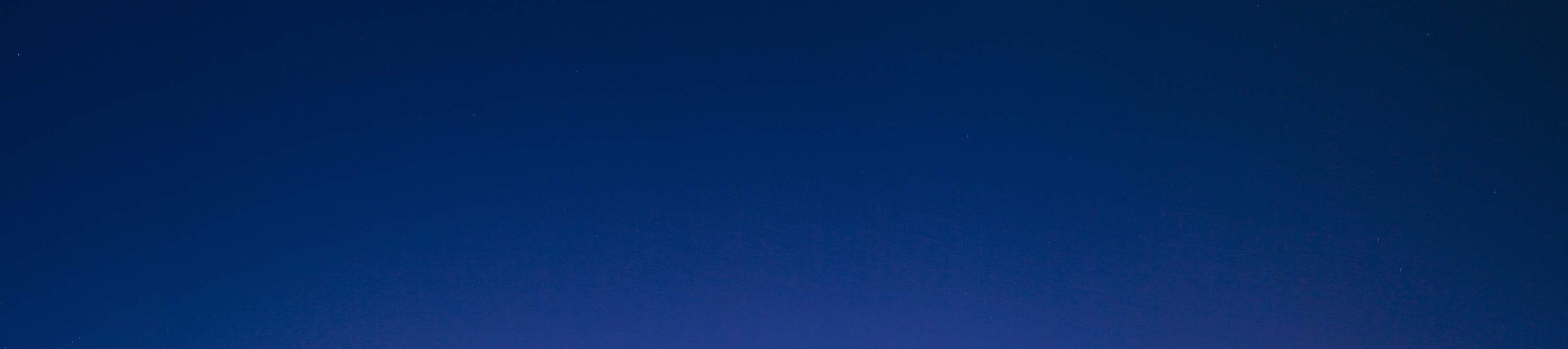 Goditi la vivace atmosfera di Circular Quay con scintillanti viste sul lungomare di notte