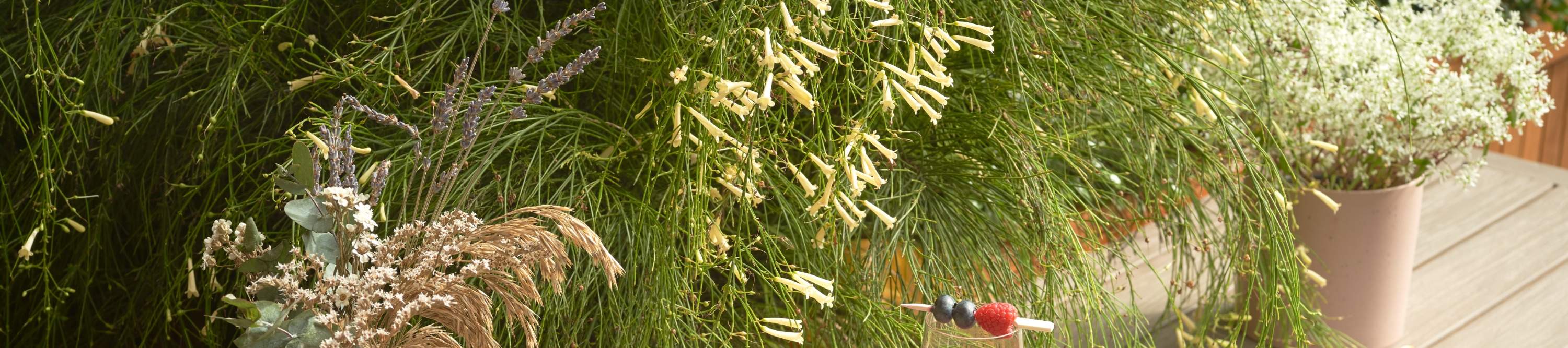 Halaman Raffles di Raffles Hotel - Klook Indonesia