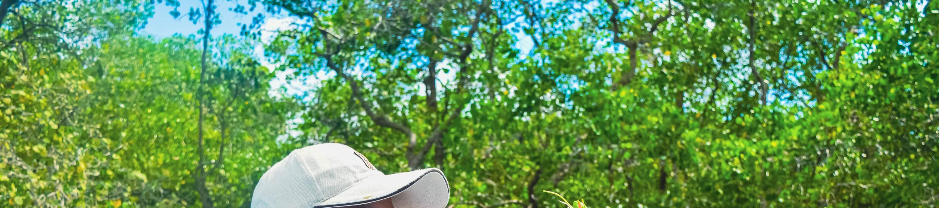 龜島 & 玻璃底船 & 紅樹林巡航之旅（JTB Indonesia提供）