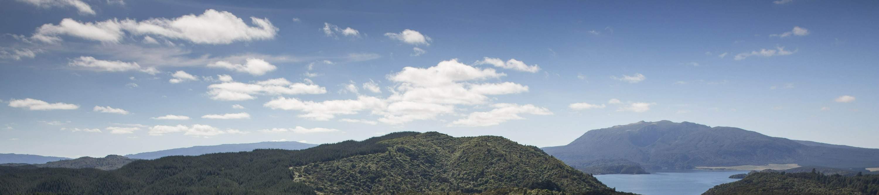 Термальная долина Ваймангу