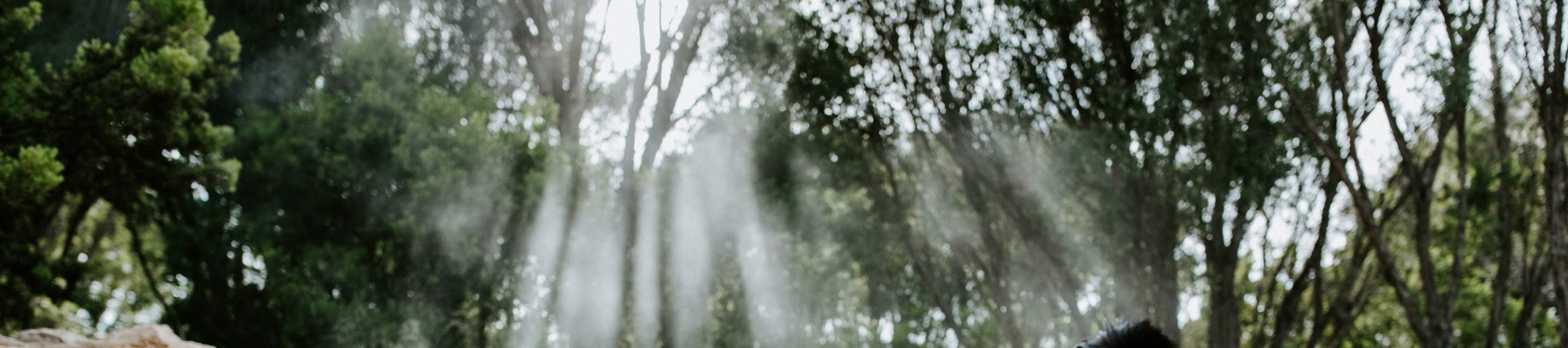 Peninsula Hot Springs : Expérience Bain d'argile 