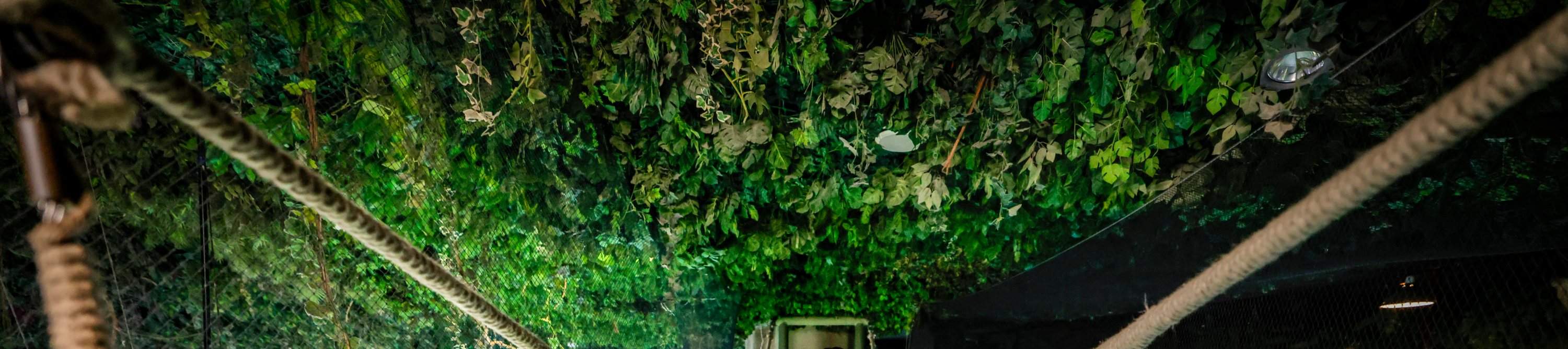 Билет в Дубайский аквариум