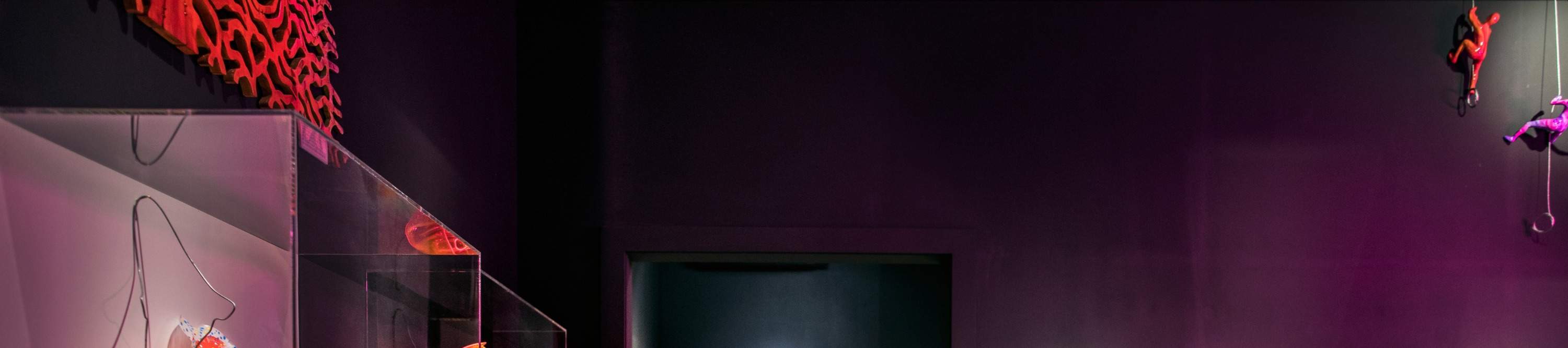 Découvrez des œuvres d'art uniques réalisées par des artistes locaux talentueux de Matakana.