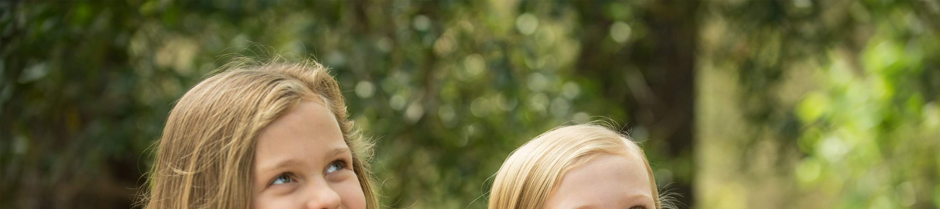 다채로운 로리킷 사이를 거닐며 자연 서식지에서 펄럭이고 교감하는 모습을 관찰해 보세요.