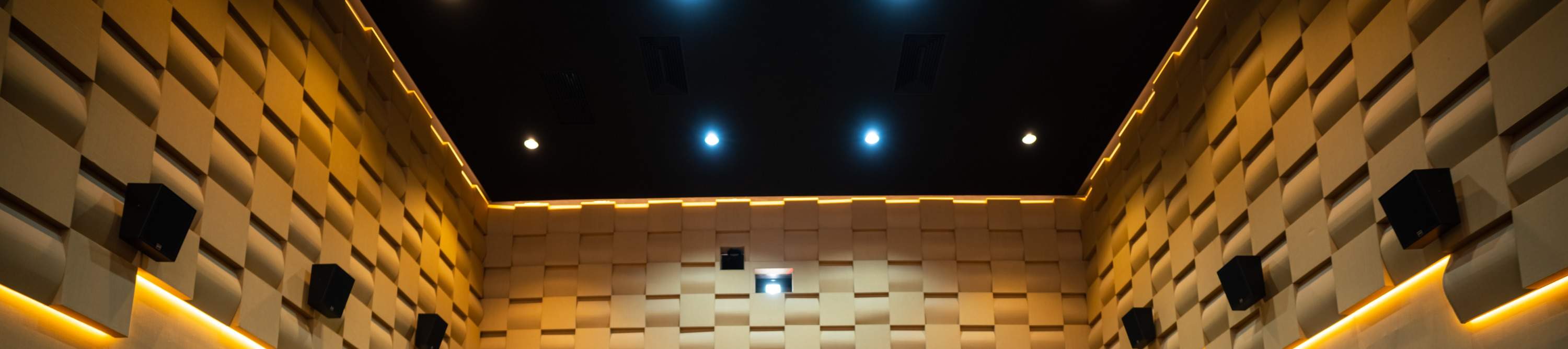 다디 시네마 말레이시아 영화 이용권