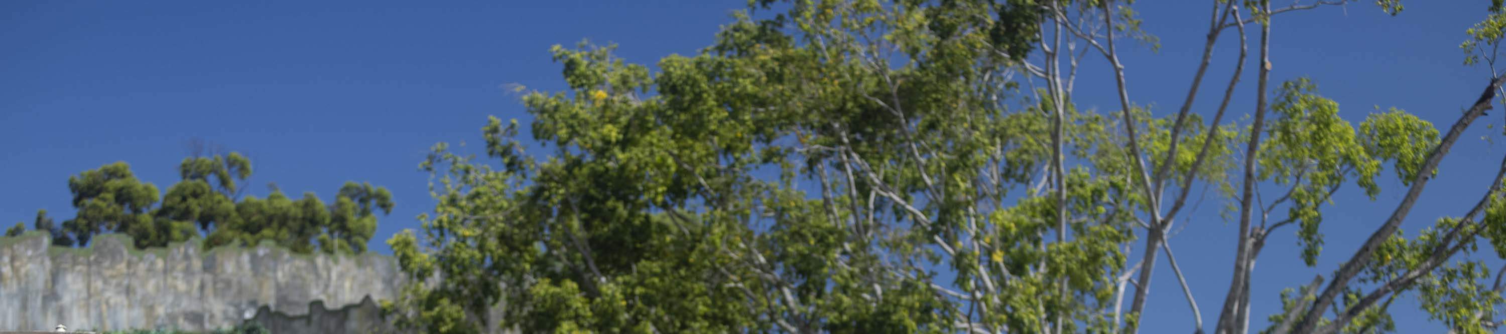 บัตรเข้าสวนสนุกดรีมเวิลด์ โกลด์โคสต์