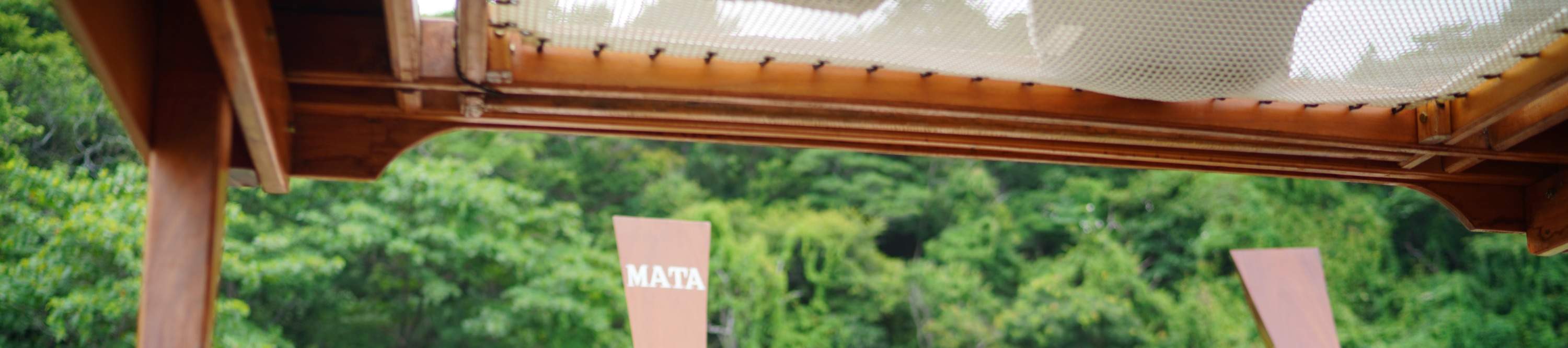 Fotos durante todo el día