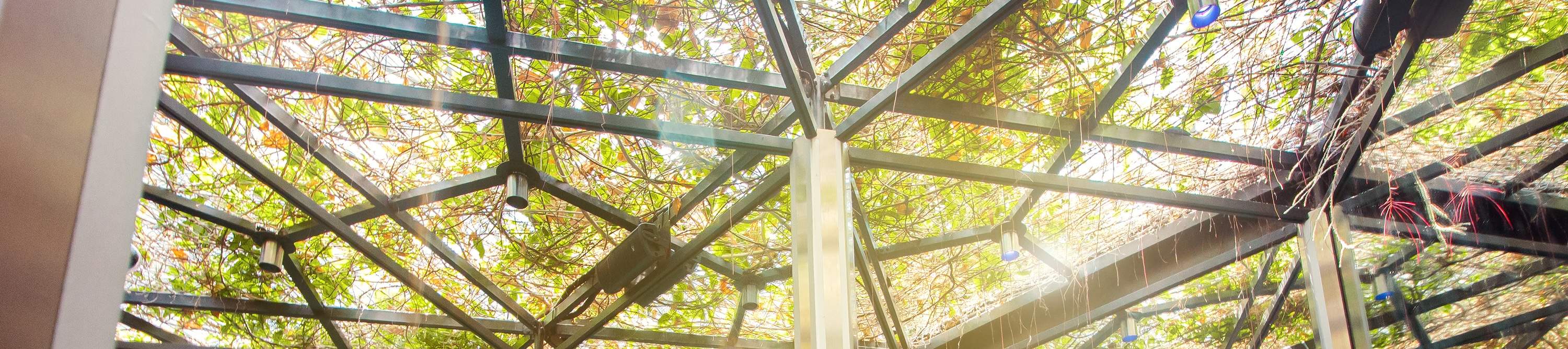 新加坡星耀樟宜景点门票