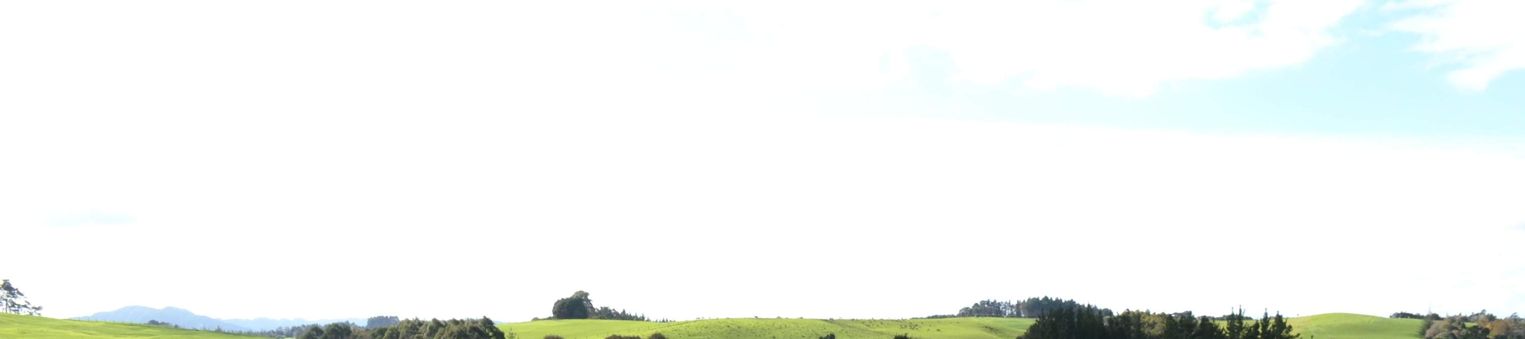 Meneroka arca-arca yang bertenaga di tengah-tengah ladang anggur yang subur dan bukit-bukau yang berombak