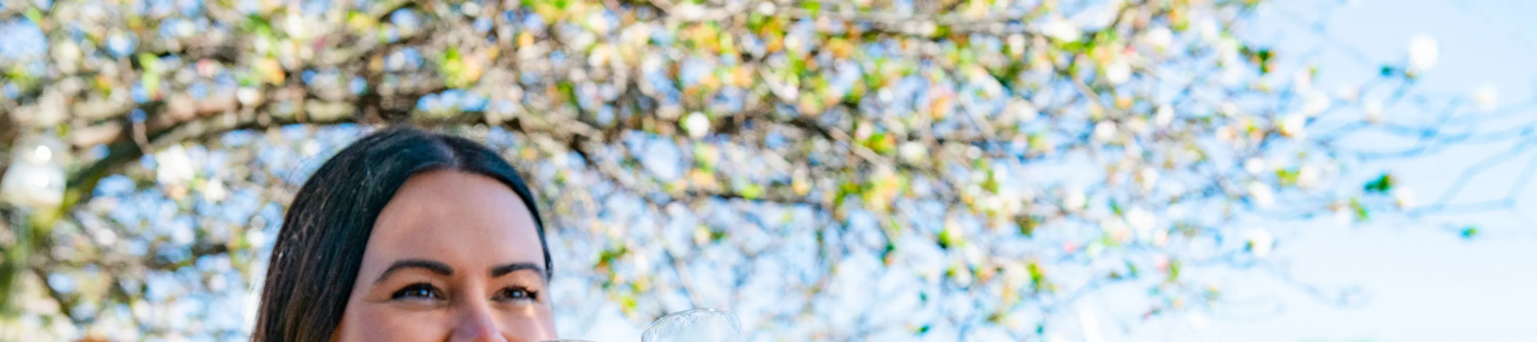 hot air balloon hunter valley
