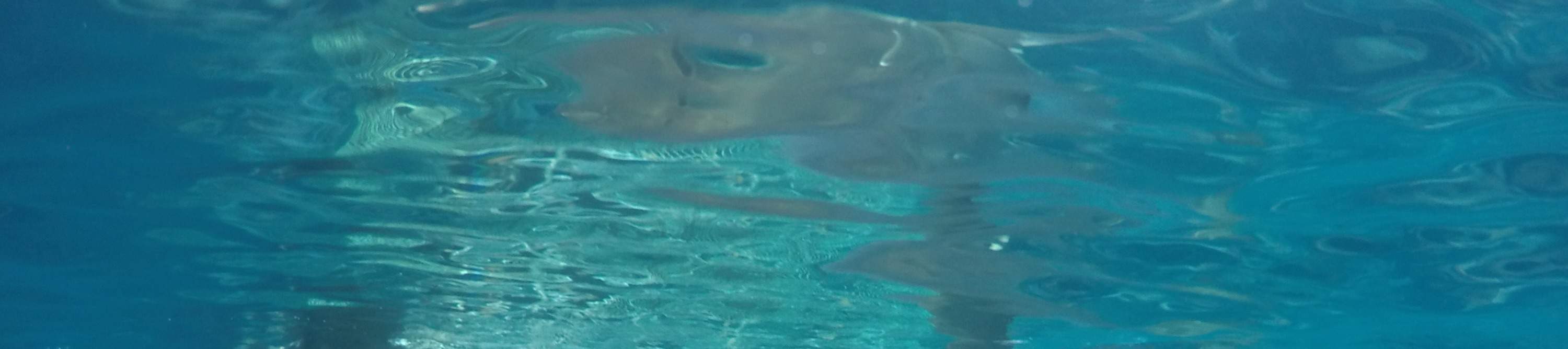 林肯港水下週末探險