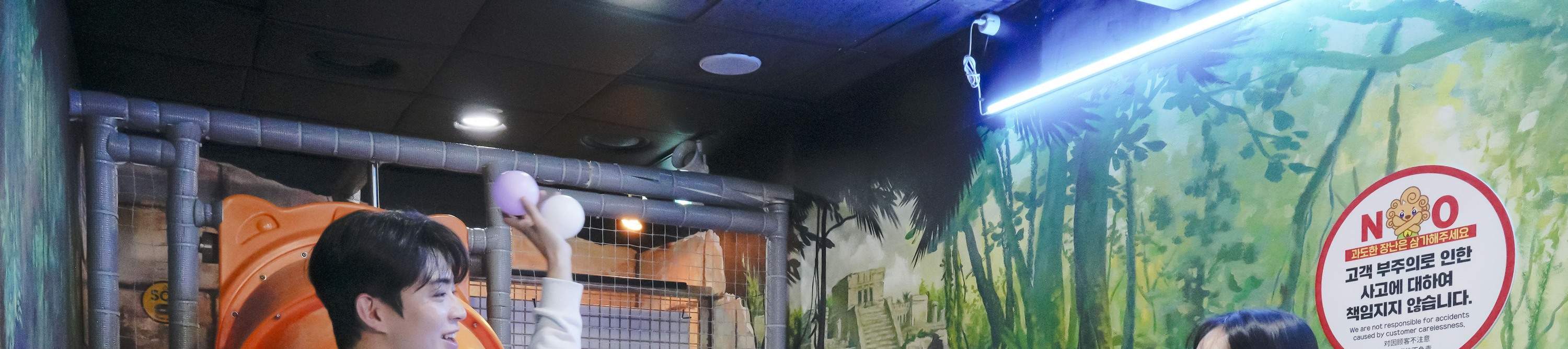 Билет в Alive Museum и Dynamic Maze в Сеуле