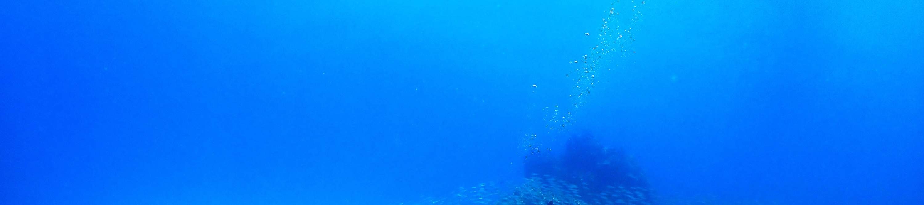 普吉岛潜水体验：麦通私人岛或皇帝岛任你选