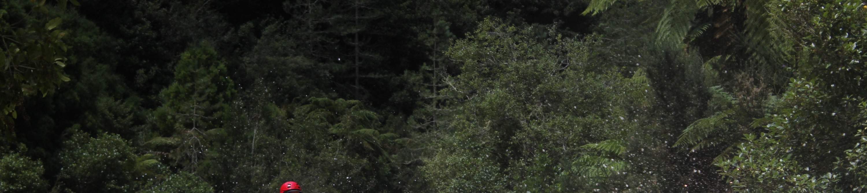 Rafting sul fiume Rangitaiki