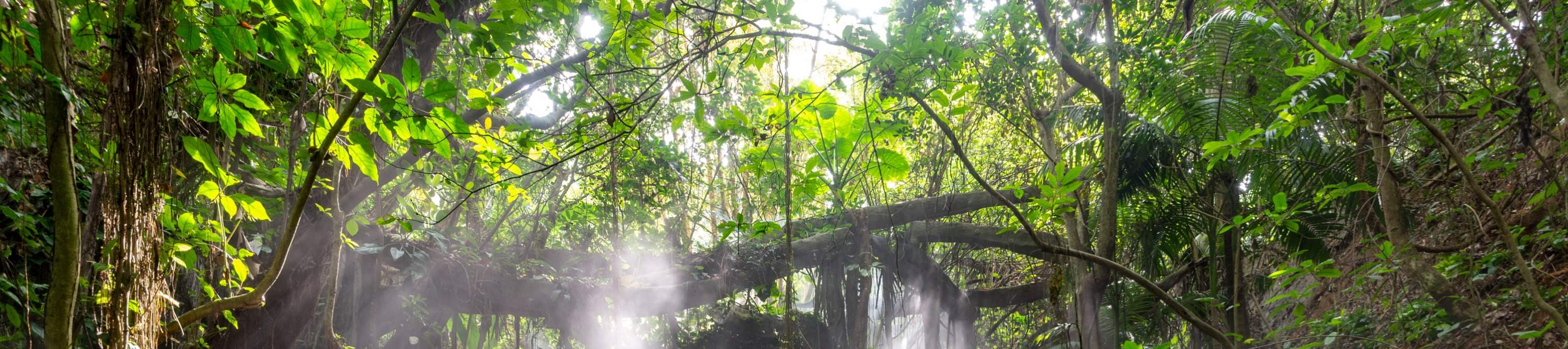 โรงแรมเซินเจิ้น ชิงชิง เวิลด์