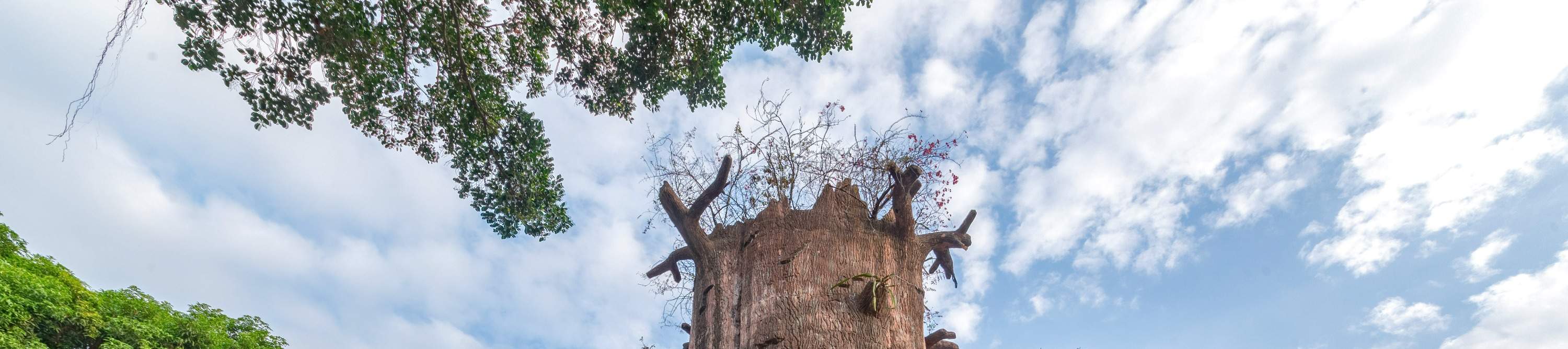 Hotel Shenzhen Qingqing World