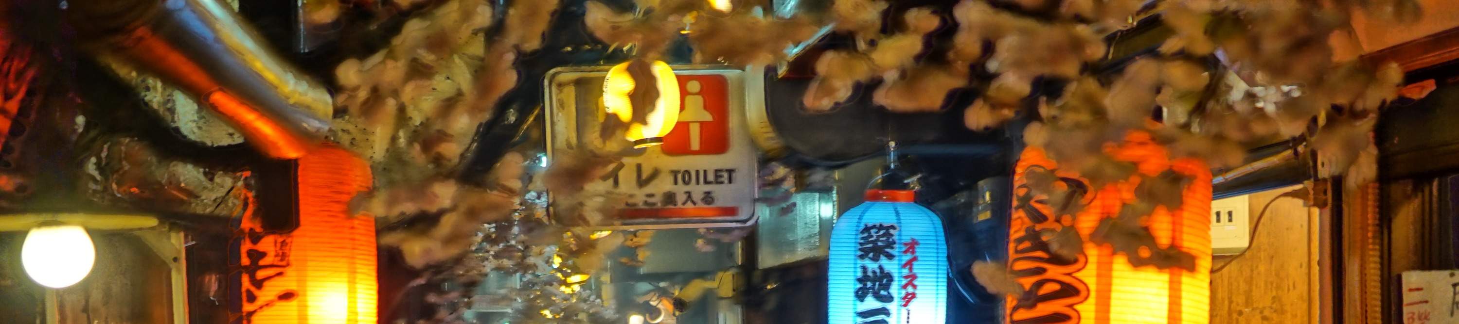 东京新宿酒吧夜生活之旅