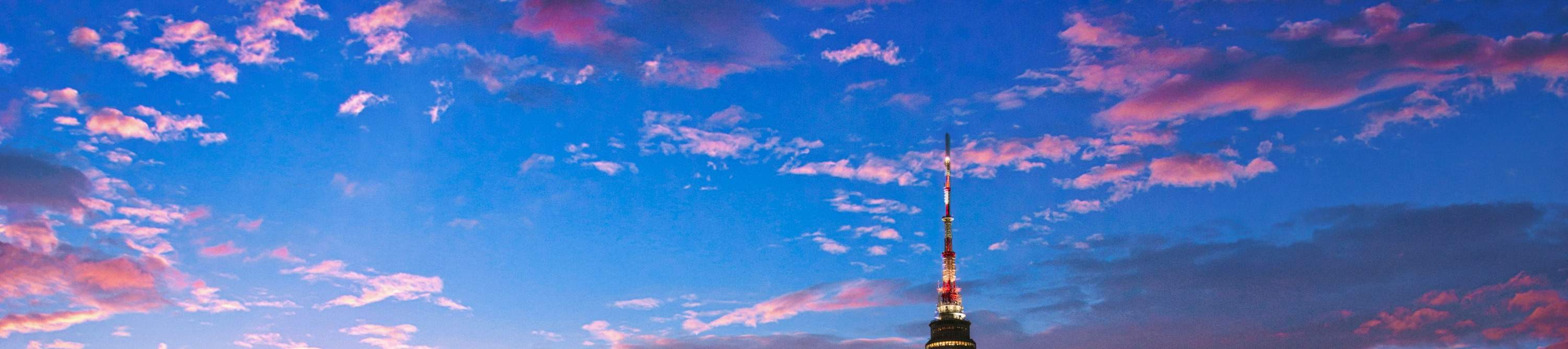 N서울타워 전망대 티켓