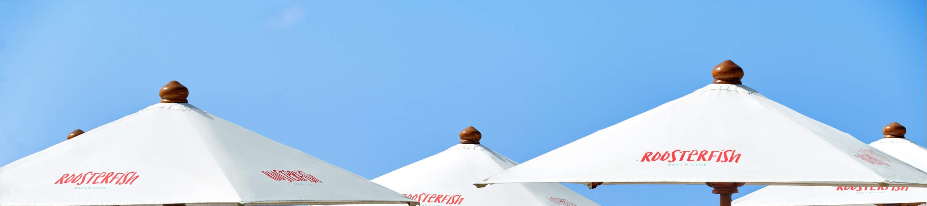 Roosterfish海灘俱樂部（峇里島潘達瓦海灘，南庫塔）