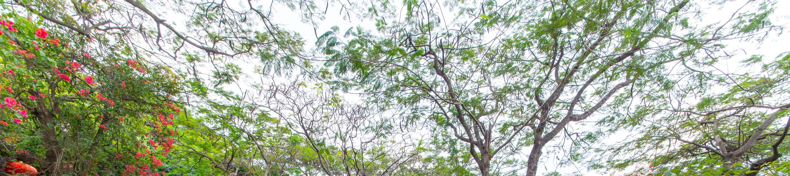 โรงแรมเซินเจิ้น ชิงชิง เวิลด์