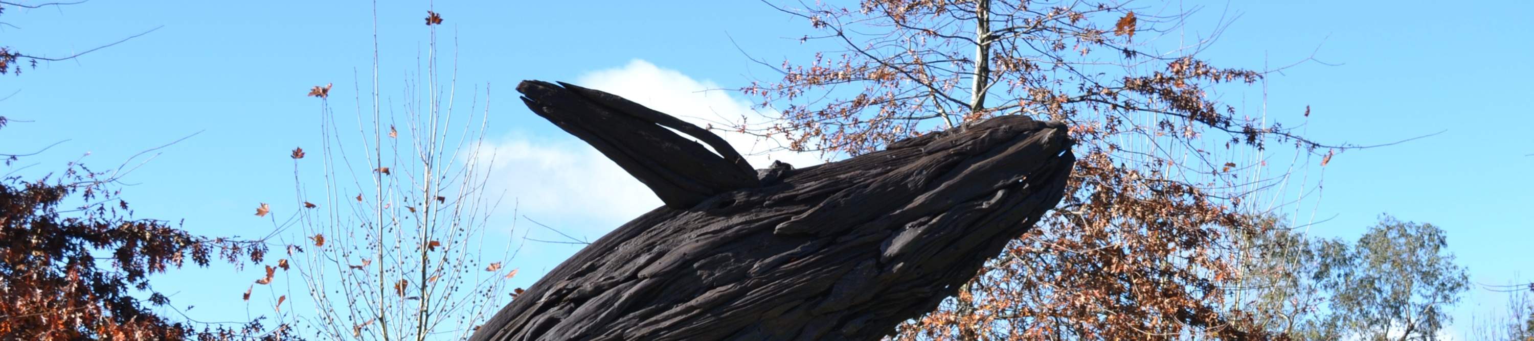 Trouvez l'inspiration dans les expositions d'art dynamiques de Matakana.