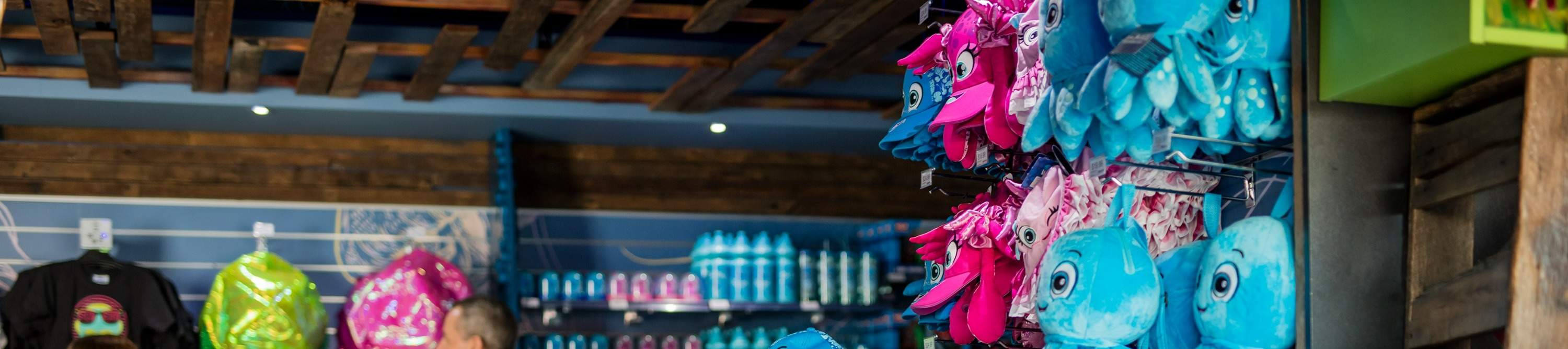 Lasciati incantare dalla bellezza eterea delle meduse nella Jelly Box