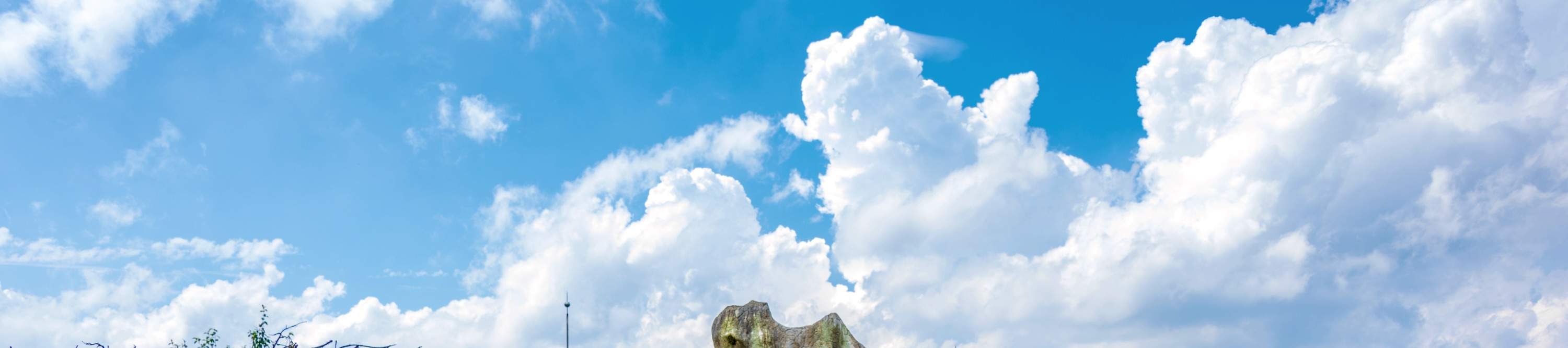 Wulong Feenbergs Grasland