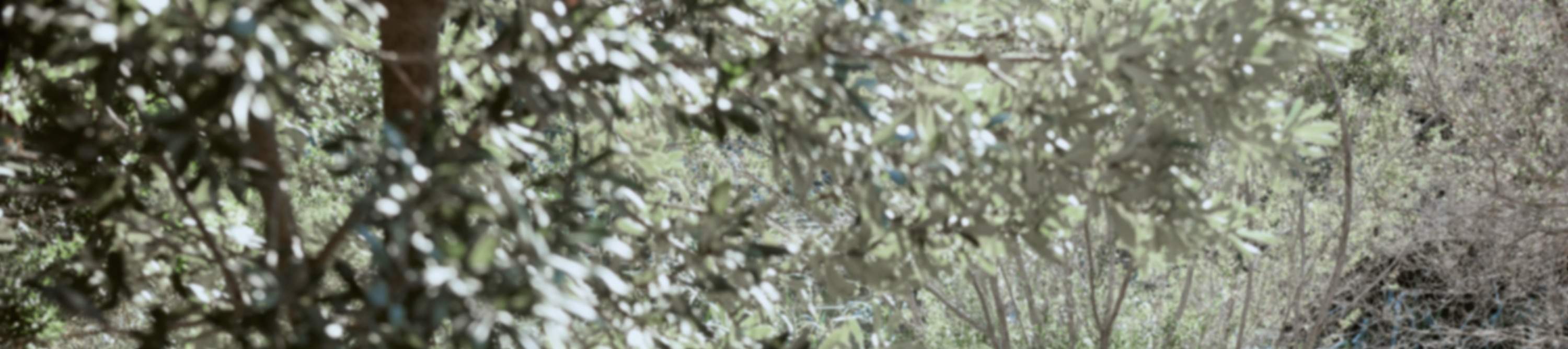 syurga relaksasi dan pemulihan