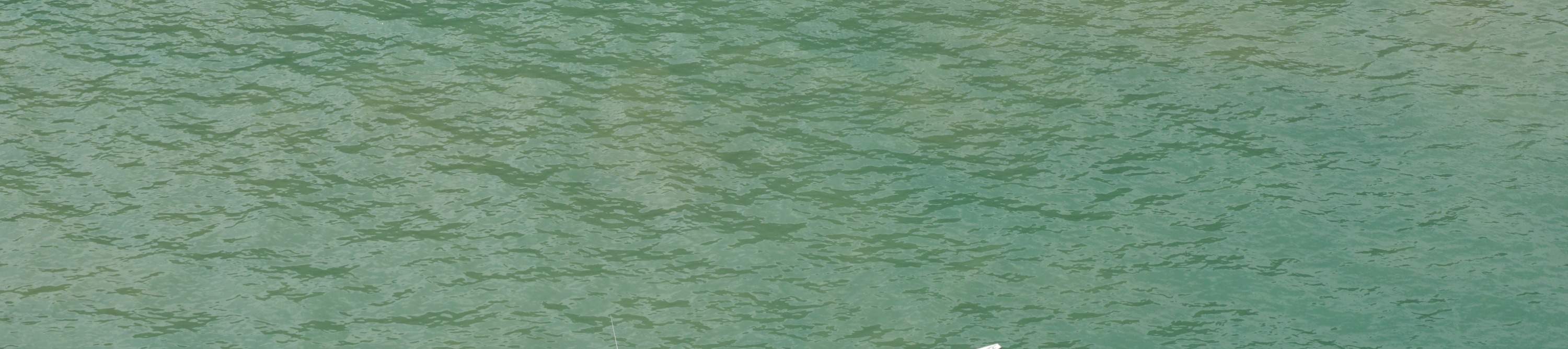 ล่องเรือชมพระอาทิตย์ตกดิน พร้อมกิจกรรมบานาน่าโบ๊ท/พายเรือคายัค ที่ลังกาวี