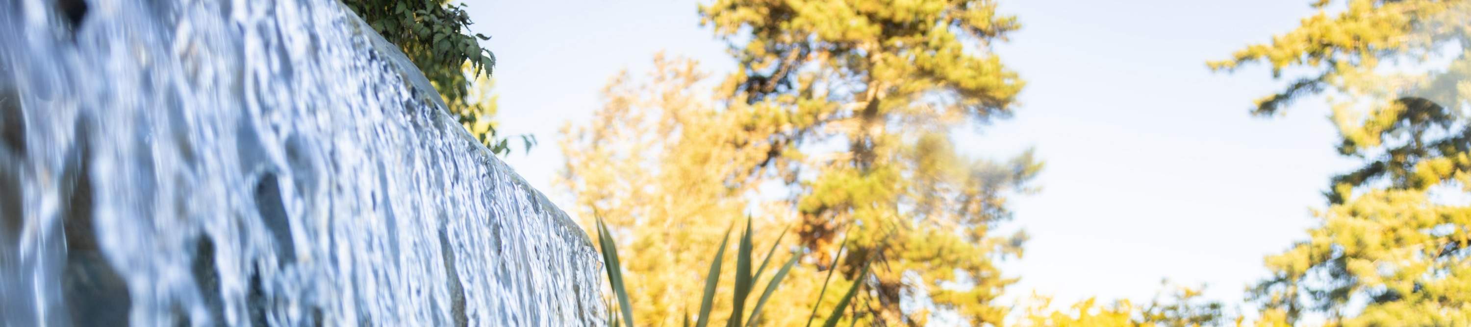 カップルでリラックスした一日を