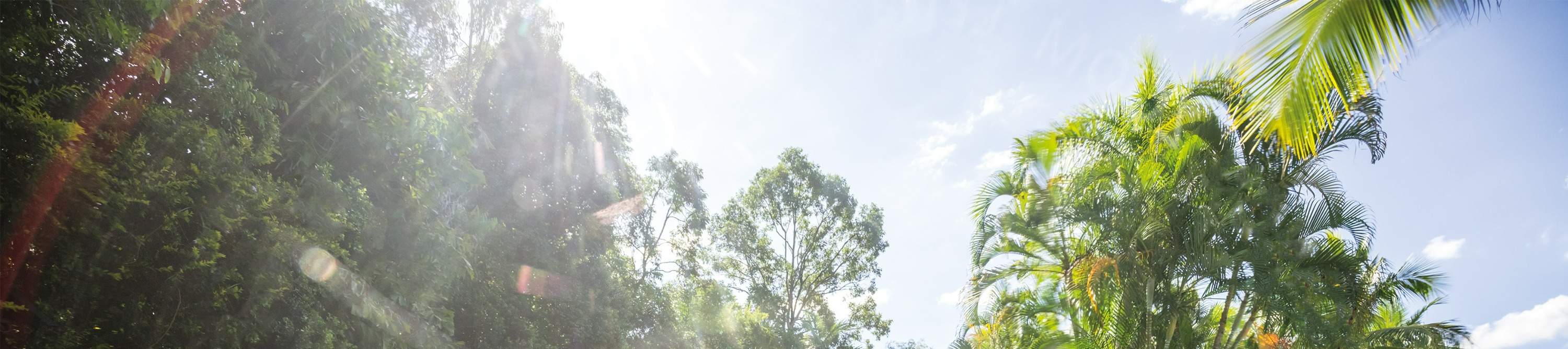 Rilassatevi e lasciatevi cullare nelle acque tranquille di Calypso Bay