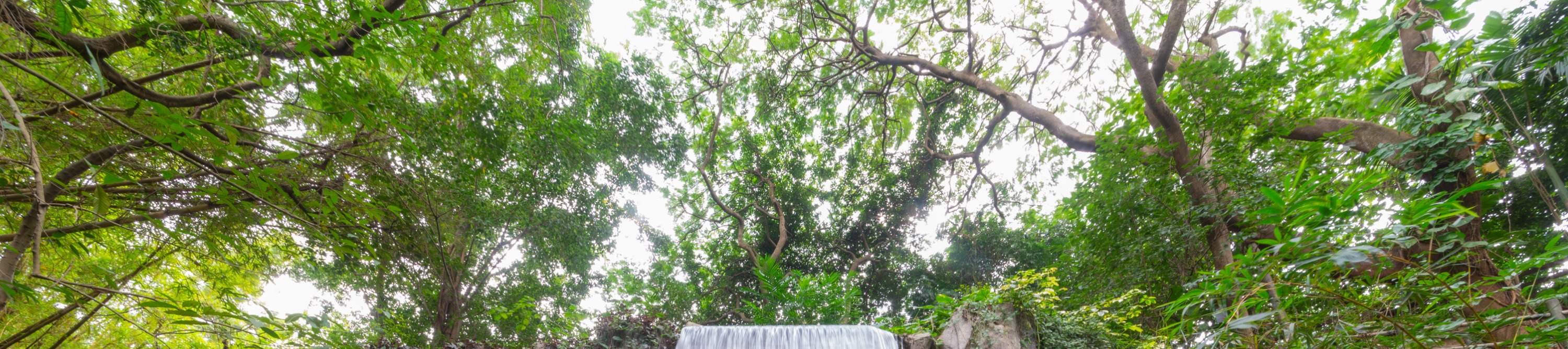 Hotel Shenzhen Qingqing World