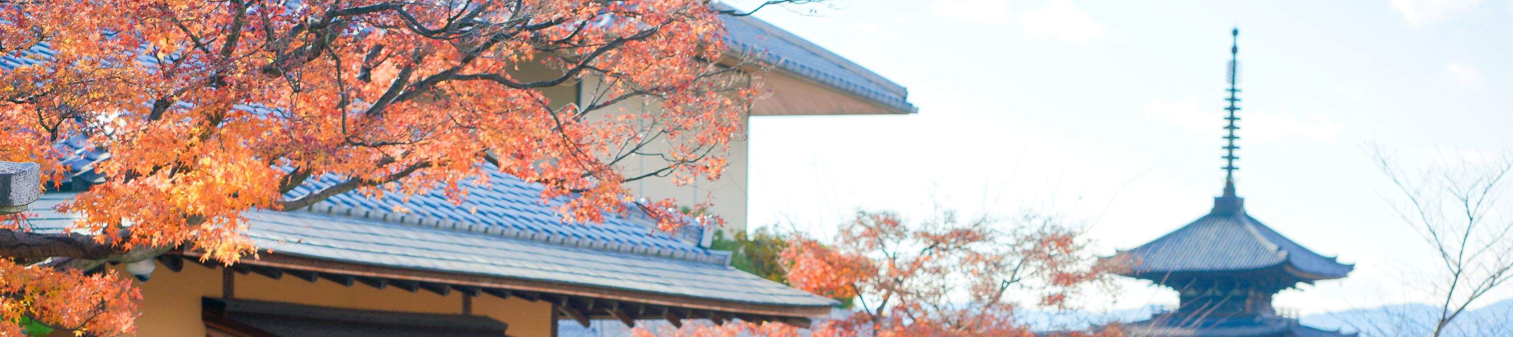 Kyoto: Dịch vụ chụp ảnh lưu niệm theo yêu cầu