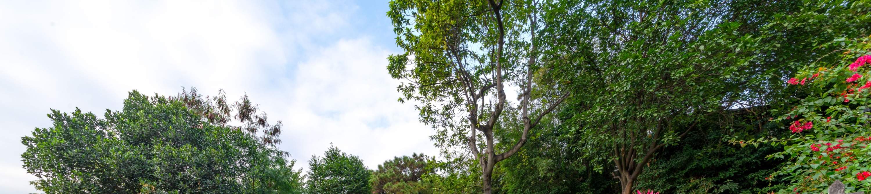 โรงแรมเซินเจิ้น ชิงชิง เวิลด์