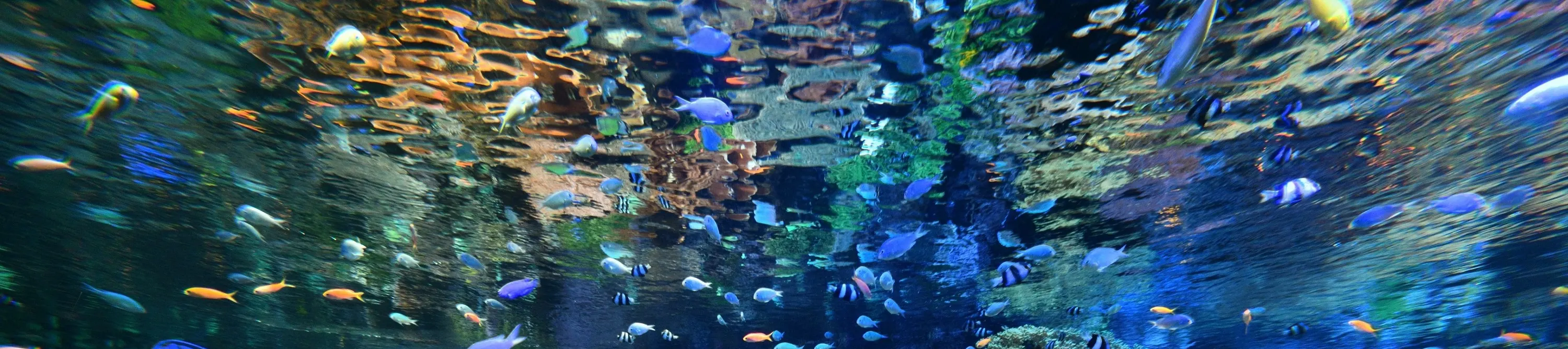 名古屋港水族馆