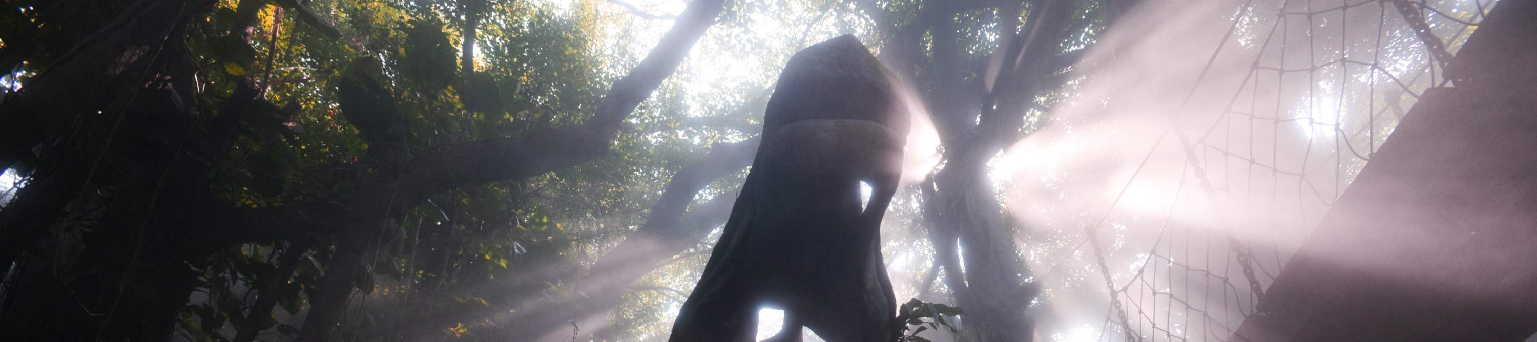 โรงแรมเซินเจิ้น ชิงชิง เวิลด์