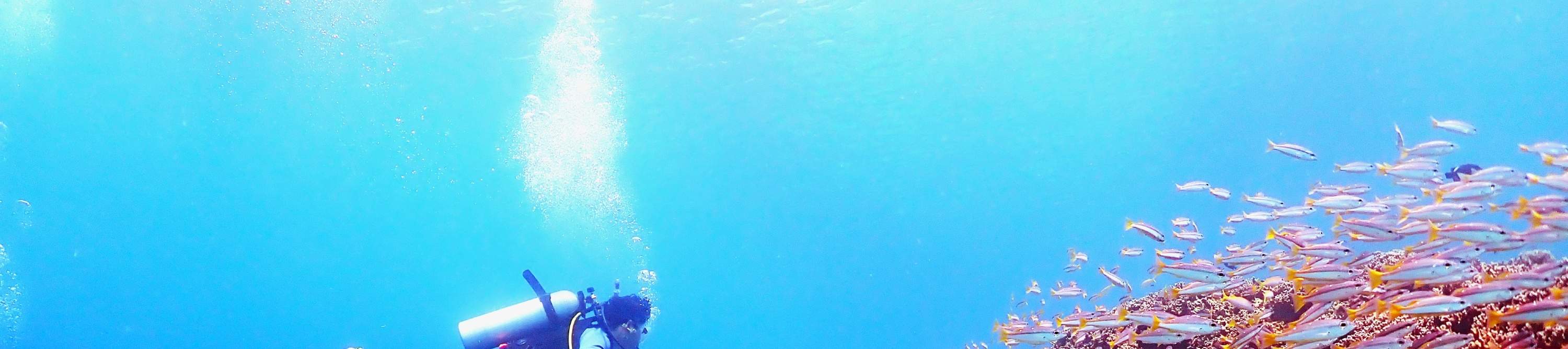 当您的团队知道该带您前往何处时，每一次潜水都将成为独一无二的体验！