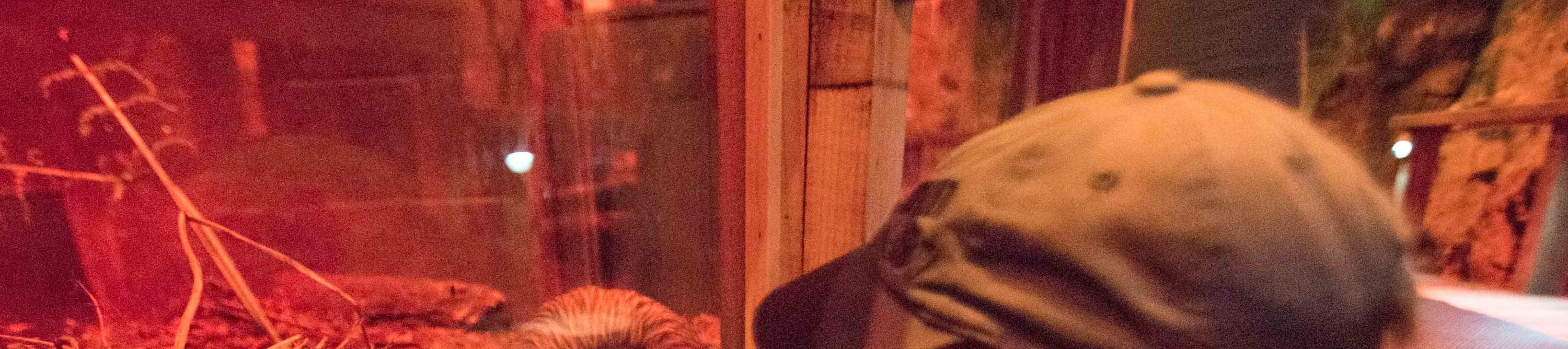 Vé Trung Tâm Động Vật Hoang Dã West Coast