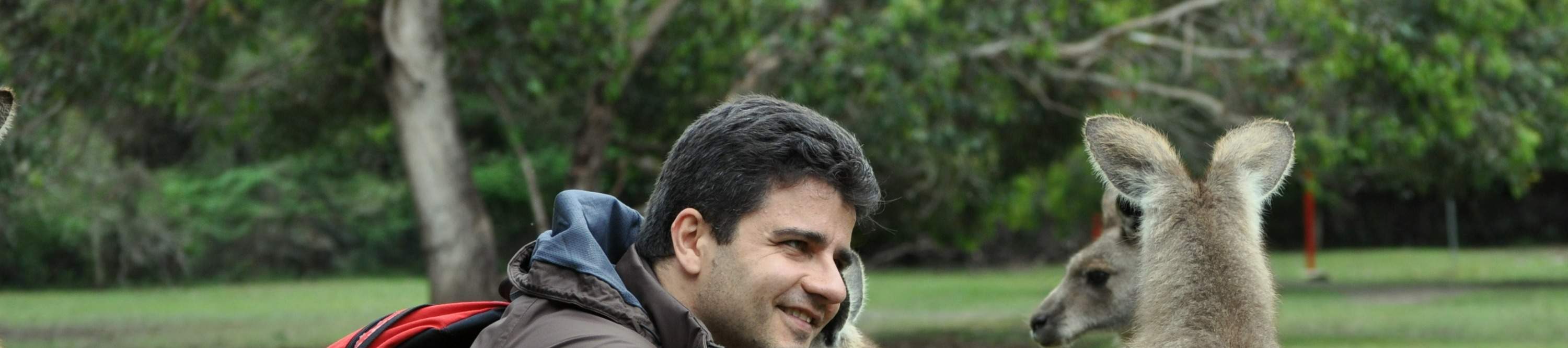 Face à face avec un kangourou