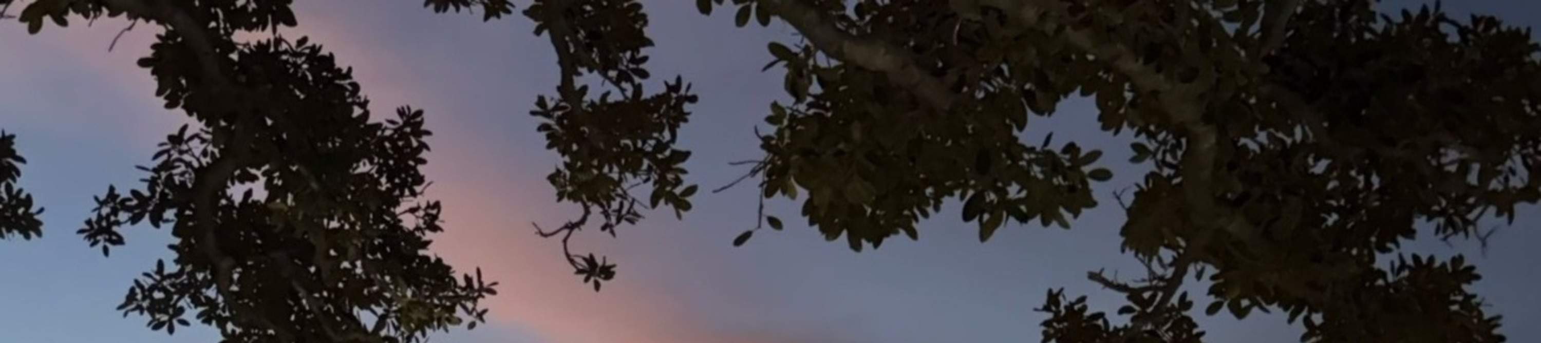 Cattura lo splendore del Teatro dell'Opera illuminato sullo sfondo del cielo notturno