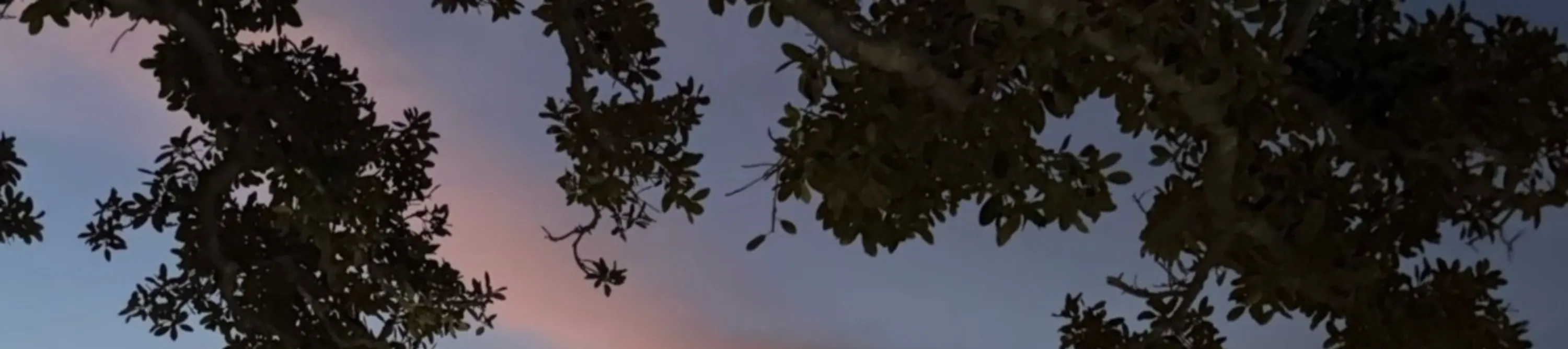 捕捉歌剧院在夜空中的美丽光芒