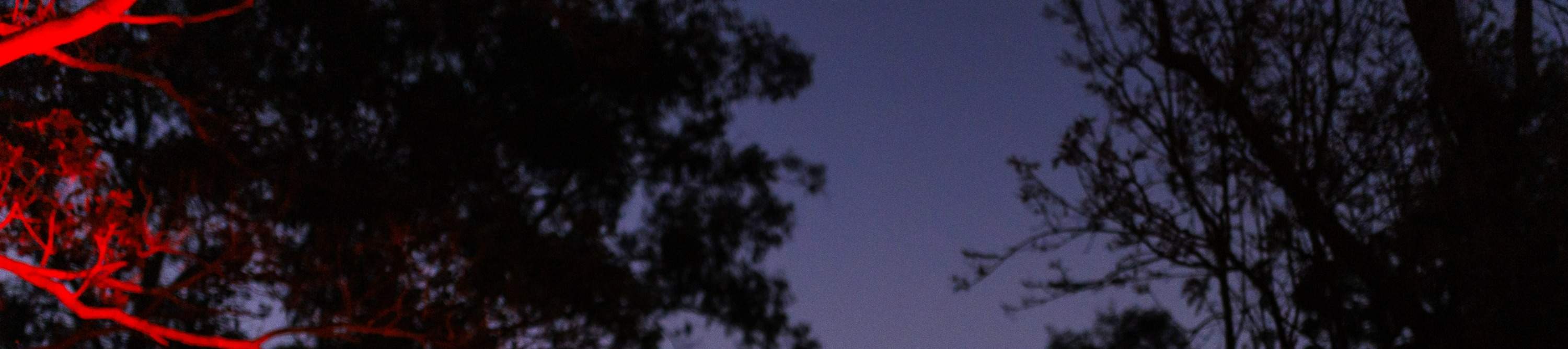 龍柏無尾熊動物園入場門票