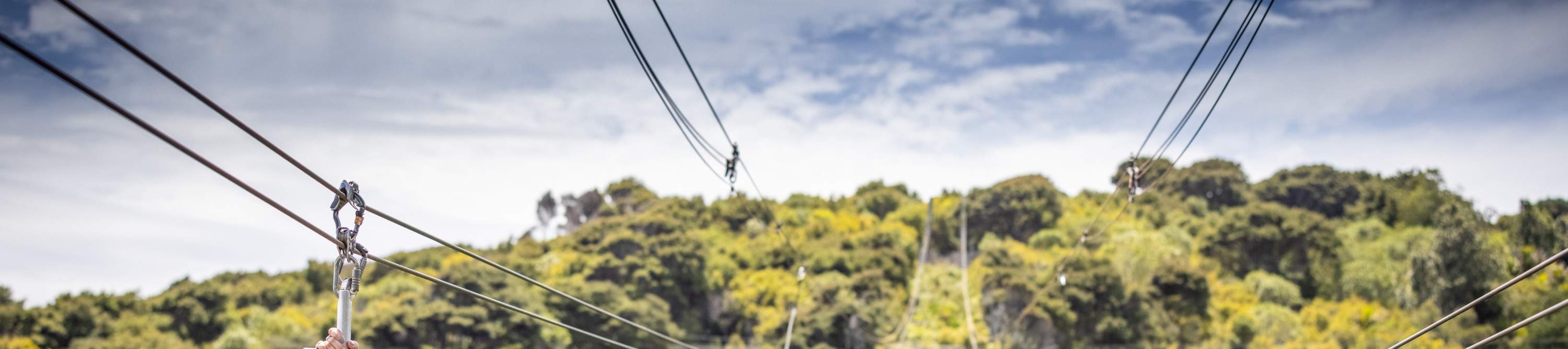 Eko-pelancongan di New Zealand